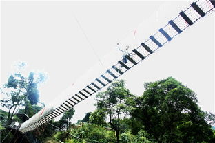 國(guó)慶黃金周到佛山南丹山聽鳥語 覓鼠蹤,度一個(gè)動(dòng)物園假期