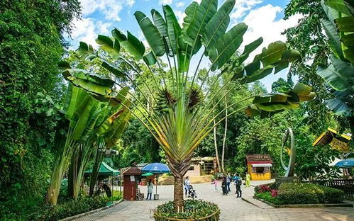 冬季 保命 守則發布,求別再讓我多喝熱水啦