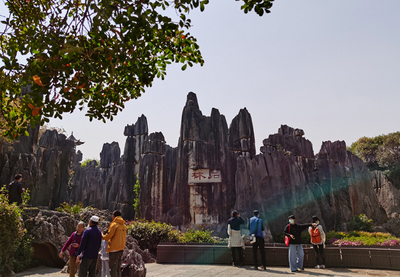 云南石林景區(qū)恢復(fù)開放 重開首日安全有序