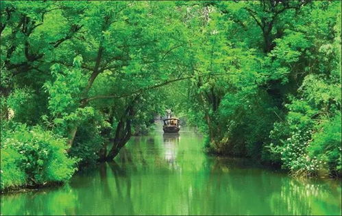 浙 幾家旅游經(jīng)典景區(qū),春節(jié)約起來