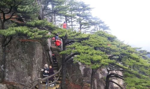 清明小長假第三天 黃山風景區優化管理措施 游覽秩序井然