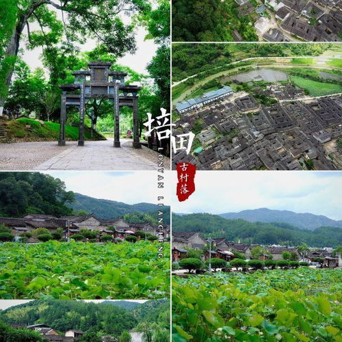 培田古村落旅游區(qū)門票,培田古村落旅游區(qū)游玩攻略 360地圖