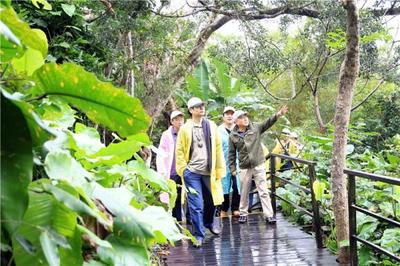 &ldquo;國研&middot;斯坦福&rdquo;師生走進(jìn)呀諾達(dá),領(lǐng)略雨林魅力