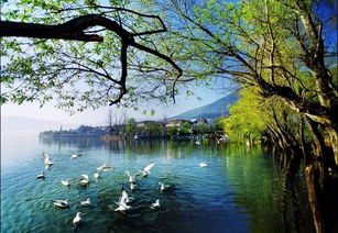 引以為鑒，刀刃向內——邛瀘景區質量提升會后管理優化紀實